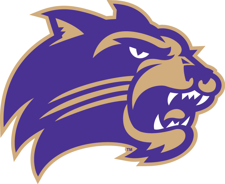 Western Carolina Catamounts 2008-Pres Primary Logo diy DTF decal sticker